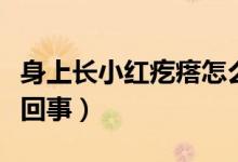 身上長小紅疙瘩怎么治（身上長小紅疙瘩怎么回事）
