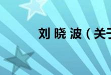 劉 曉 波（關于劉 曉 波的介紹）