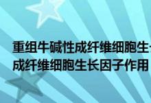 重組牛堿性成纖維細(xì)胞生長(zhǎng)因子滴眼液說(shuō)明書（重組牛堿性成纖維細(xì)胞生長(zhǎng)因子作用）