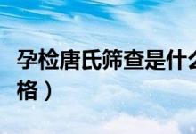 孕檢唐氏篩查是什么意思(孕檢唐氏篩查的價格)