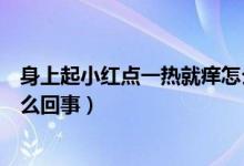 身上起小紅點(diǎn)一熱就癢怎么回事（天熱身上起小紅點(diǎn)還癢怎么回事）