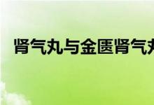 腎氣丸與金匱腎氣丸的區(qū)別（腎氣怎么補(bǔ)）