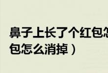 鼻子上長了個(gè)紅包怎么回事（鼻子上長了個(gè)紅包怎么消掉）
