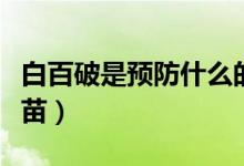 白百破是預防什么的（白百破是預防什么的疫苗）
