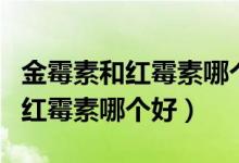 金霉素和紅霉素哪個(gè)治烏龜白眼?。ń鹈顾睾图t霉素哪個(gè)好）