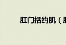 肛門(mén)括約?。ǜ亻T(mén)括約肌在哪里）