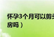 懷孕3個月可以剪頭發(fā)嗎（懷孕3個月可以同房嗎）