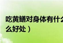 吃黃鱔對(duì)身體有什么好處（吃黃鱔對(duì)身體有什么好處）