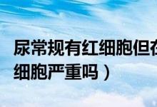 尿常規(guī)有紅細胞但在參考值以內(nèi)（尿常規(guī)有紅細胞嚴重嗎）