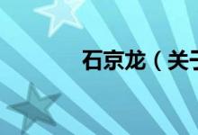 石京龍（關于石京龍的介紹）