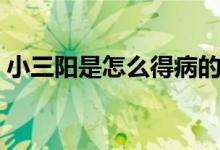 小三陽是怎么得病的（小三陽是怎么得來的）