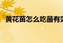 黃花苗怎么吃最有效（黃花苗的營養(yǎng)價值）
