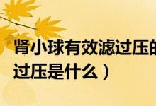 腎小球有效濾過(guò)壓的影響因素（腎小球有效濾過(guò)壓是什么）