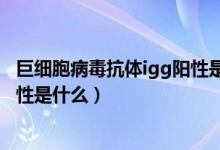 巨細(xì)胞病毒抗體igg陽性是什么病毒（巨細(xì)胞病毒抗體igg陽性是什么）