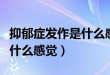 抑郁癥發(fā)作是什么感覺想睡覺（抑郁癥發(fā)作是什么感覺）