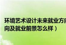 環(huán)境藝術(shù)設(shè)計(jì)未來就業(yè)方向（2022環(huán)境藝術(shù)設(shè)計(jì)專業(yè)就業(yè)方向及就業(yè)前景怎么樣）