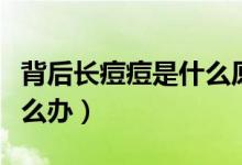 背后長(zhǎng)痘痘是什么原因怎么治（背后長(zhǎng)痘痘怎么辦）