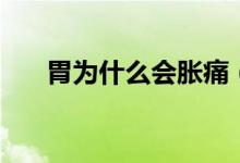 胃為什么會脹痛（胃為什么會反酸水）