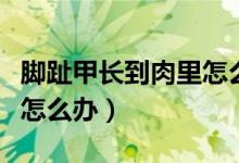 腳趾甲長(zhǎng)到肉里怎么辦矯正(腳趾甲長(zhǎng)到肉里怎么辦)