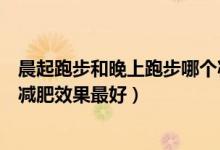 晨起跑步和晚上跑步哪個減肥效果好（晨跑和晚上跑步哪個減肥效果最好）