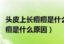 頭皮上長痘痘是什么原因引起的（頭皮上長痘痘是什么原因）