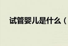 試管嬰兒是什么（試管嬰兒是什么意思）