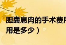 膽囊息肉的手術費用多少（膽囊息肉的手術費用是多少）