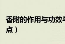 香附的作用與功效與禁忌(香附的功效與作用點)