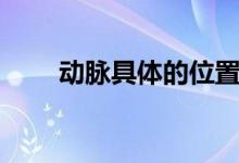 動脈具體的位置（動脈具體在哪里）