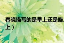 春曉描寫(xiě)的是早上還是晚上（春曉寫(xiě)的是春天的早上還是晚上）
