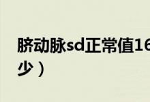 臍動(dòng)脈sd正常值16周（臍動(dòng)脈sd正常值是多少）