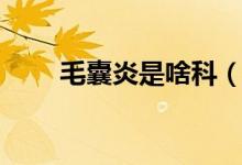 毛囊炎是啥科（毛囊炎是啥樣癥狀）