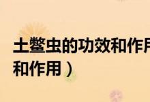土鱉蟲(chóng)的功效和作用語(yǔ)音回答（土鱉蟲(chóng)的功效和作用）