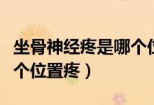 坐骨神經(jīng)疼是哪個(gè)位置圖片（坐骨神經(jīng)疼是哪個(gè)位置疼）