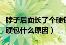脖子后面長了個(gè)硬包什么科（脖子后面長了個(gè)硬包什么原因）