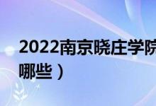 2022南京曉莊學(xué)院專業(yè)排名(最好的專業(yè)有哪些)