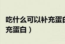 吃什么可以補(bǔ)充蛋白質(zhì)又不貴（吃什么可以補(bǔ)充蛋白）