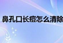 鼻孔口長(zhǎng)痘怎么清除（鼻孔口長(zhǎng)痘怎么回事）