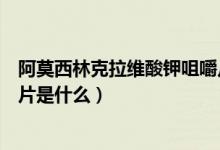 阿莫西林克拉維酸鉀咀嚼片說(shuō)明（阿莫西林克拉維酸鉀咀嚼片是什么）