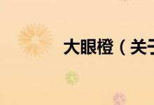 大眼橙（關(guān)于大眼橙的介紹）