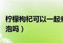 檸檬枸杞可以一起煮水嗎（檸檬枸杞可以一起泡嗎）