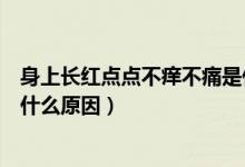 身上長紅點(diǎn)點(diǎn)不癢不痛是什么原因（身上長紅點(diǎn)不痛不癢是什么原因）