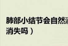肺部小結(jié)節(jié)會(huì)自然消失嗎（肺部小結(jié)節(jié)會(huì)自動(dòng)消失嗎）