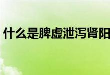 什么是脾虛泄瀉腎陽不足（什么是脾虛泄瀉）
