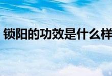 鎖陽(yáng)的功效是什么樣的（鎖陽(yáng)的功效是什么）