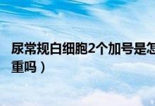 尿常規(guī)白細胞2個加號是怎么回事（尿常規(guī)白細胞2個加號嚴重嗎）