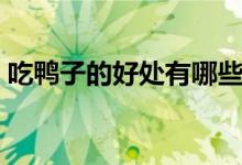 吃鴨子的好處有哪些（吃鴨子的好處和壞處）