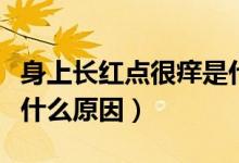 身上長(zhǎng)紅點(diǎn)很癢是什么?。ㄉ砩祥L(zhǎng)紅點(diǎn)很癢是什么原因）