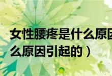 女性腰疼是什么原因引起的?。ㄅ匝凼鞘裁丛蛞鸬模?class=