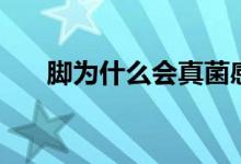 腳為什么會真菌感染（腳為什么會臭）
